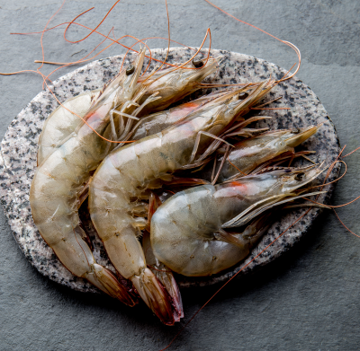 seafood of the month