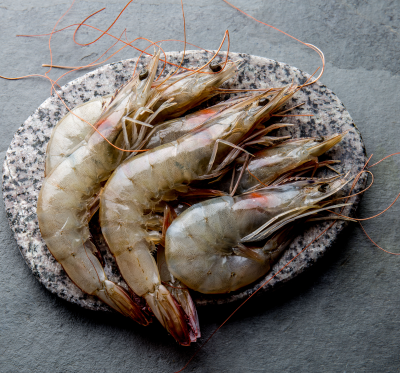 seafood of the month